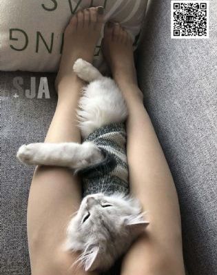 二人世界高清免费版在线观看