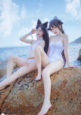 优秀女巫贾斗心电视剧免费观看