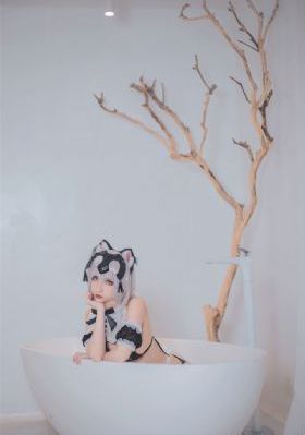冷月白狐2000部游戏合集